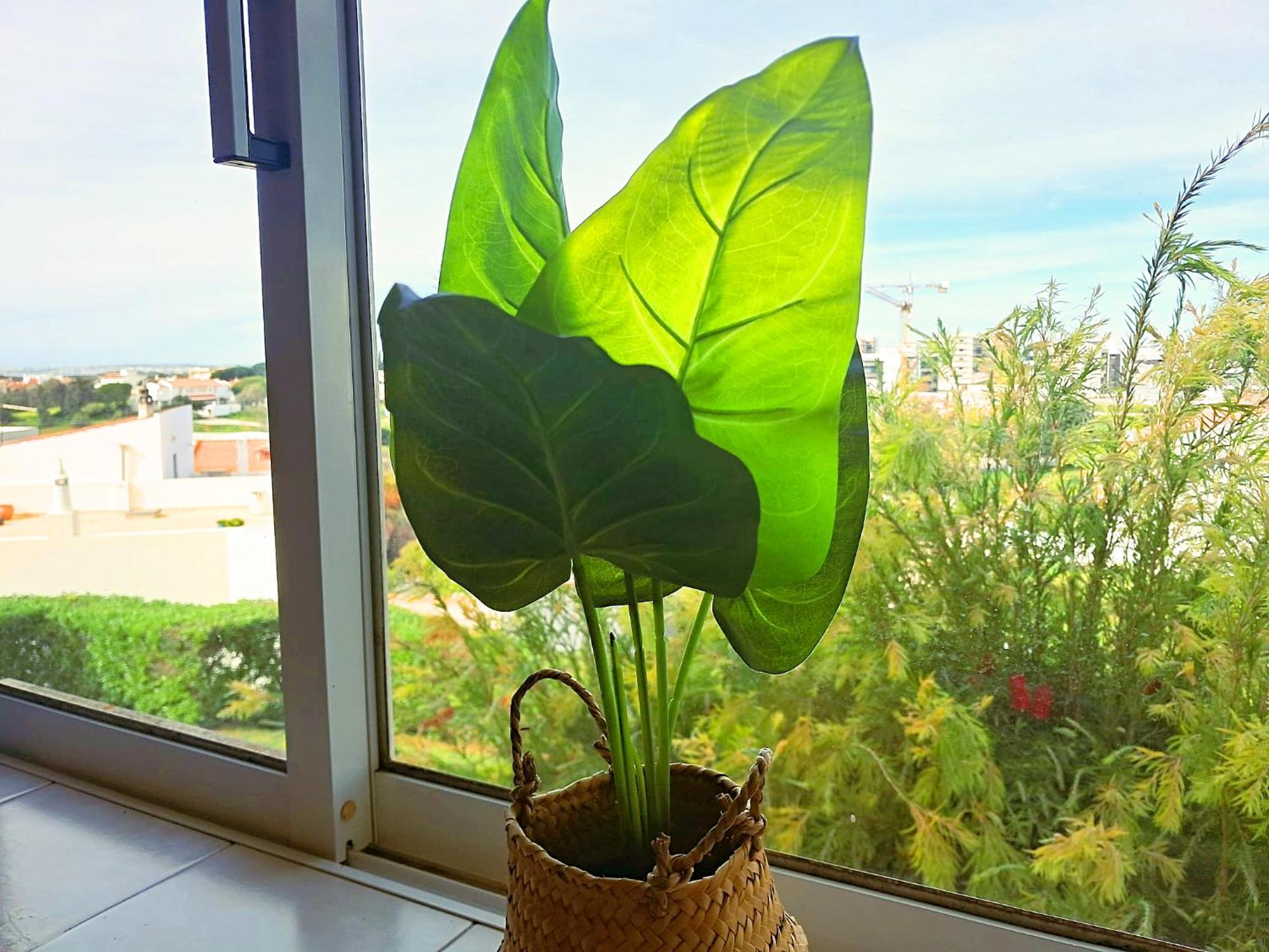Apartamento Oasis Parque 1 ポルティマン エクステリア 写真